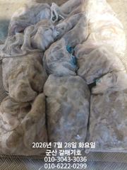 7월27일 월요일 갈매기호 야간문어 조황 사진