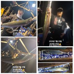 군산킹스타호(7/29)야간고등어 실시간(30일도 출조합니다) 사진