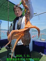 마리수는 줄고 사이즈는 커지고 사진