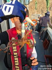 1일,  군산문어~본격 시즌 시작~실시간~~주,야간문어 매일 갑니다~군산 뉴라이브호 사진