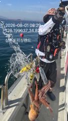 오늘 문어 씨알 좋네요~<~ 사진