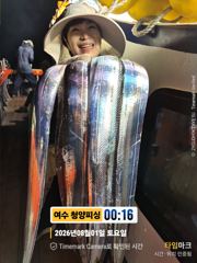 청양피싱 8월1일 입항 조황입니다. 사진