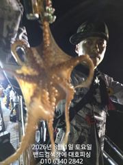 군산 대호피싱 야간 문어낚시 나왔어요  사진