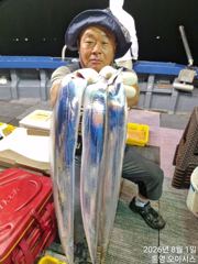 8월2일 입항소식 갈치조황입니다 사진