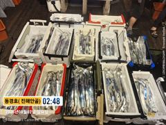 돔경호~ 2일 준내만갈치 조황(월욜.예약가능) 사진