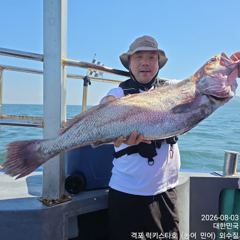[민어·농어생미끼] 8월 3일 격포럭키스타  12분 민어 초대박 조황 사진