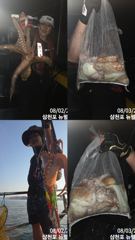 먀문 사진