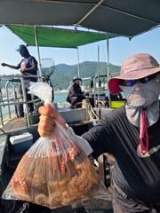 2026.8.3일 월요일 문어 조황 사진