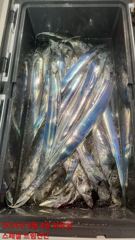 8월4일입항 갈치지깅.텐빈.외줄 다녀왔습니다 사진