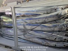 녹동금강호16석 3일갈치조항.예약순자리지정예약제 자리별차등요금제 010-4058-2266 사진