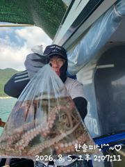 8월 5일 (주간) 문어 조황 사진