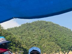 8월 5일 문어 사진