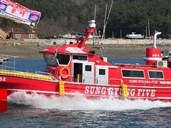오늘의조황 - 7월31일 백조기낚시^^ - 오천항 성령낚시,성령호 사진