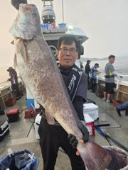 8월5일 1미터5 민어 조황입니다. 사진