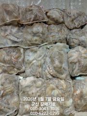 8월6일 목요일 갈매기호 야간문어 조황♡ 사진