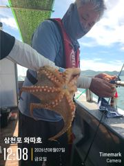 2키로외 일당들 내일 몇자리있습니다 사진