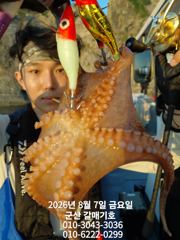 8월7일 금요일 갈매기호 실시간!!!!! 사진