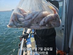 [홍원항타이탄호] 8월8일(금) 백조기&부서  굿 조황 사진