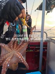8월8일 군산 홈런호 야간 문어 출조 하였습니다.바람 너울 악조건 속에서도 문어는 나옵니다.실시간 구경 하세요! 사진
