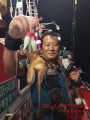 8/8 야간 문어 낚시 사진