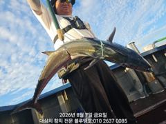 이번 폭풍이 끝나면 바로 대삼치 사냥이 있습니다! 사진