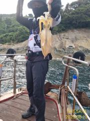 [사천] 내일도 무늬갑니다 사진