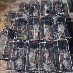 (문어)5시 30분까지 도착~연타로 쭉쭉 뽑았던그 곳으로~강민호 사진