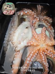 여수 짱구호  8월8일(토) 1.25k문어 조황 사진