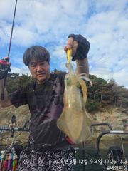 무늬오징어 팁런 12일 실시간 조항 사진