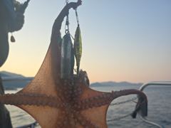 [사천] 토요일 돌문어 출조 합니다~^^ (자리많아요~~~~~~~~ ) 사진