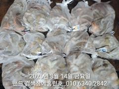 8월13일 장원21수 군산 홈런호 야간 문어 마무리 조항 입니다.오늘도 홈런호에 승선하신 조사님들 수고 하셨습니다. 사진
