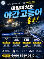 ⭐군산제일피싱호⭐야간고등어출조 6자리여유요 사진