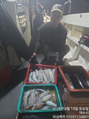 14일 거문도 무늬오징어 조황입니다 사진