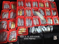 무늬 팁런 조황~ 마릿수 굿~! 일요일 부터 무늬 자리 예약 가능 합니다^^ 사진