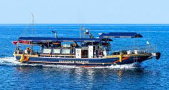 [백조기조황] 8/15 백조기 조황 사진