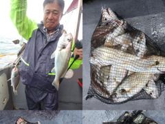 <자연호> 주간 백조기 실시간 조황(16일)-내일 백조기 정상출항합니다~! 사진