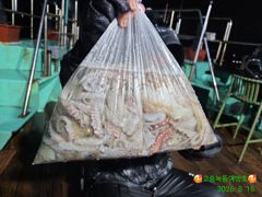문어잘 나옵니다. 내일 출항 문의 바랍니다. 사진