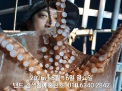 8월16일 군산 홈런호 야간 문어 출조 하였습니다!여기저기 히트소리... 실시간 구경들 하세요. 사진