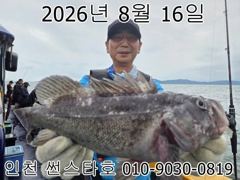 인천 썬스타호 8월 15일!! 우럭라이트 낚시대회 조황사진입니다~^.^ 사진