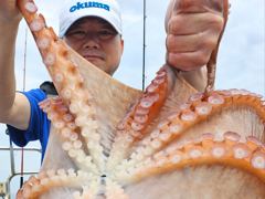 22인승 샤크마린 8.16 대왕문어조황 화요일 문어출조 가실분들 연락주세요 010 8505 8321 사진