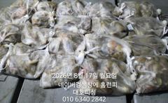 군산 대호피싱 야간 문어낚시 대박조항 사진