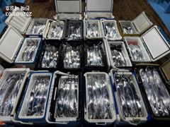 [진해] [준내만갈치]돼지갈치씨알급들잡으러 내일부터 예약가능합니다^ㅡ^ … 사진