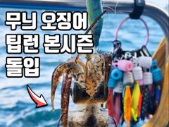 [ 무늬 팁런 ] 8월18일 화요일 정상 출항합니다. 사진