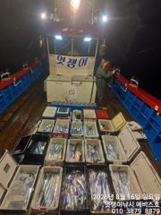 [진해] 준내만갈치~빵좋고대치들까지 쿨러 채우기~오늘부터 예약가능합니다 사진