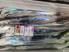내만갈치 수중전에 담배갑씨알이 퍽퍽~!! (오늘예약가능) 사진