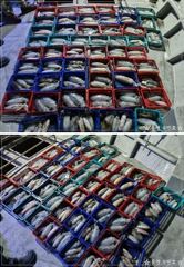 1   [통영] 무늬 팁런 이벤트~ 1 사진