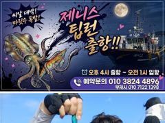 [통영] 통영 제니스호] 무늬"팁런" 내일 (수요일)부터 정상출항 자리… 사진