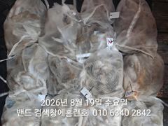 8월18일 군산 홈런호 야간 문어 마무리 조황 입니다.19명 조사님들 수고 하셨습니다. 사진