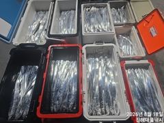 [진해] 내만칼치 퍽퍽,텐빈,씨알점점 ~엄청잡고 수,목,금,토욜 예약가능… 사진