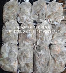 8월20일 군산 홈런호 야간 문어 12명 조사님의 마무리 조황입니다.수고 하셨습니다. 사진